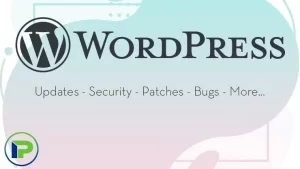 Safeguard your WordPress website from potential threats and vulnerabilities with our reliable updates, patches, and top-notch security solutions.